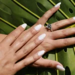 tudio shot of fresh almond-shaped nude-colour acrylic nails on a palm leaf backdrop